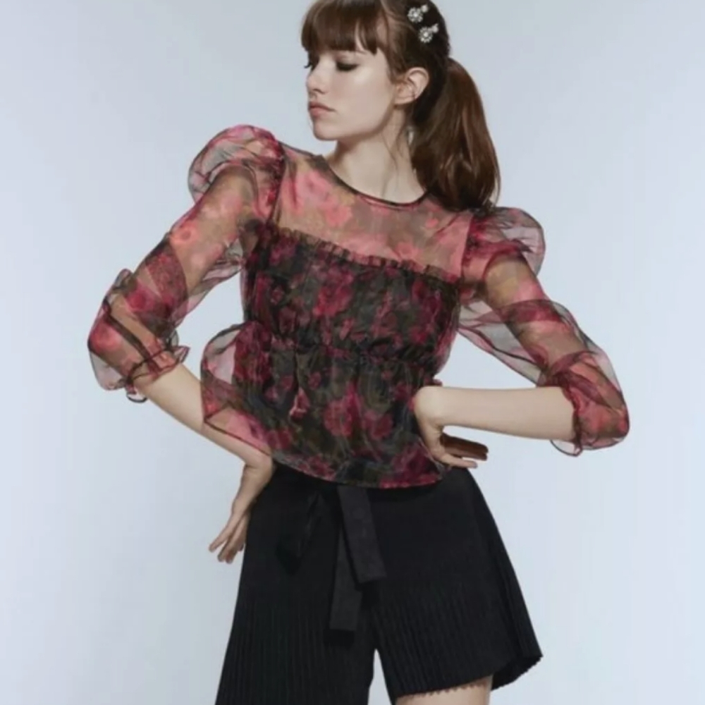 Zara Floral Print Organza Cropped Top